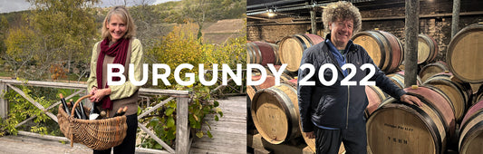 Burgundy 2022 En Primeur Vintage Report: A Cornucopia