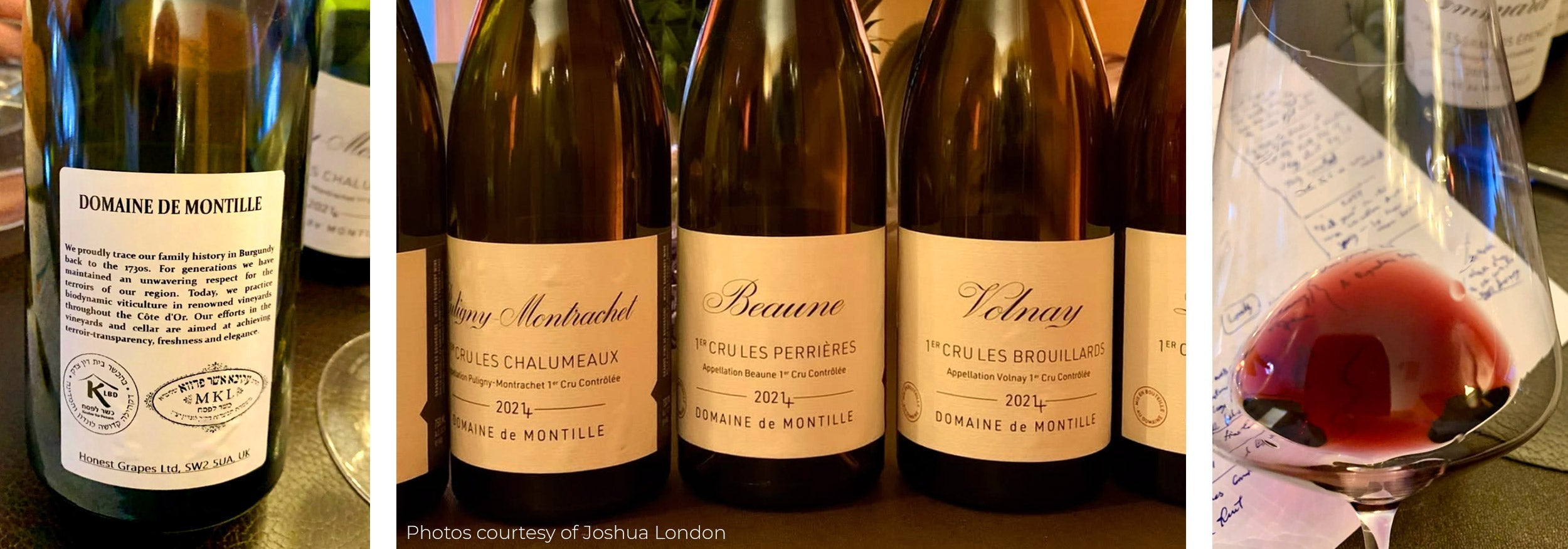 A Burgundy 2024 Kosher Evening - Review – Honest Grapes