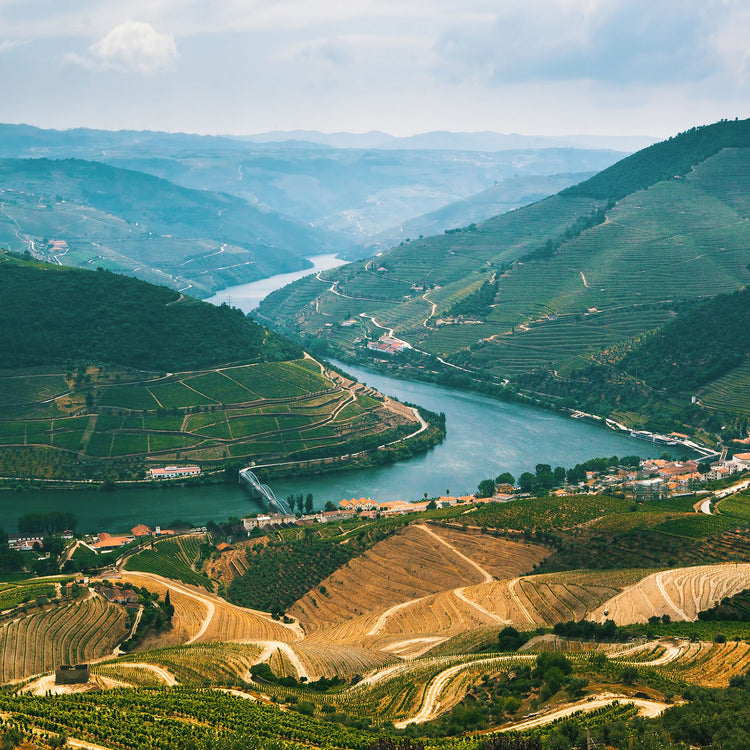 Spanish & Portuguese wines