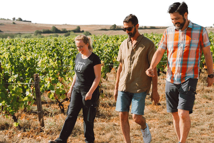 Domaine Hubert Brochard