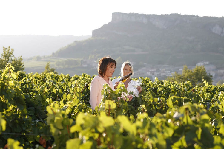 Domaine Nadine Ferrand