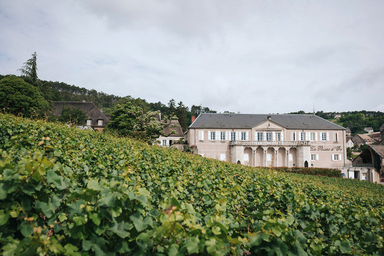 Domaine de la Pousse d'Or