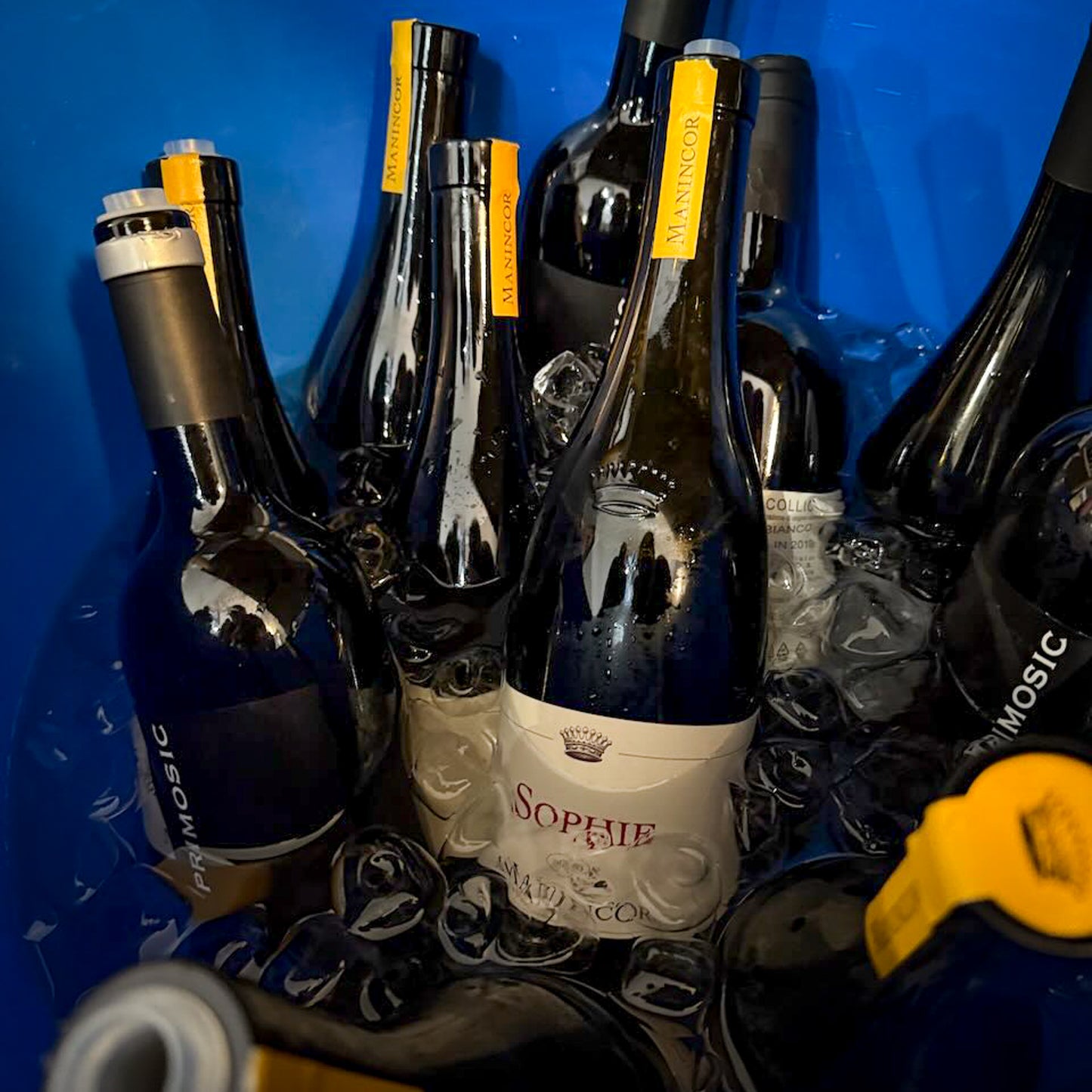 Honest Grapes Club Tasting
