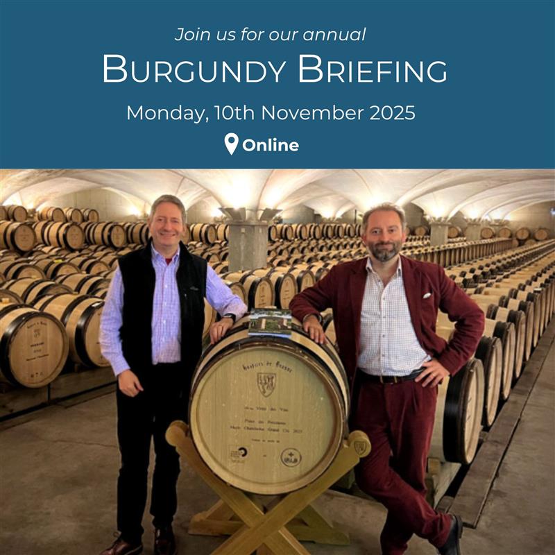 Burgundy Briefing 2024
