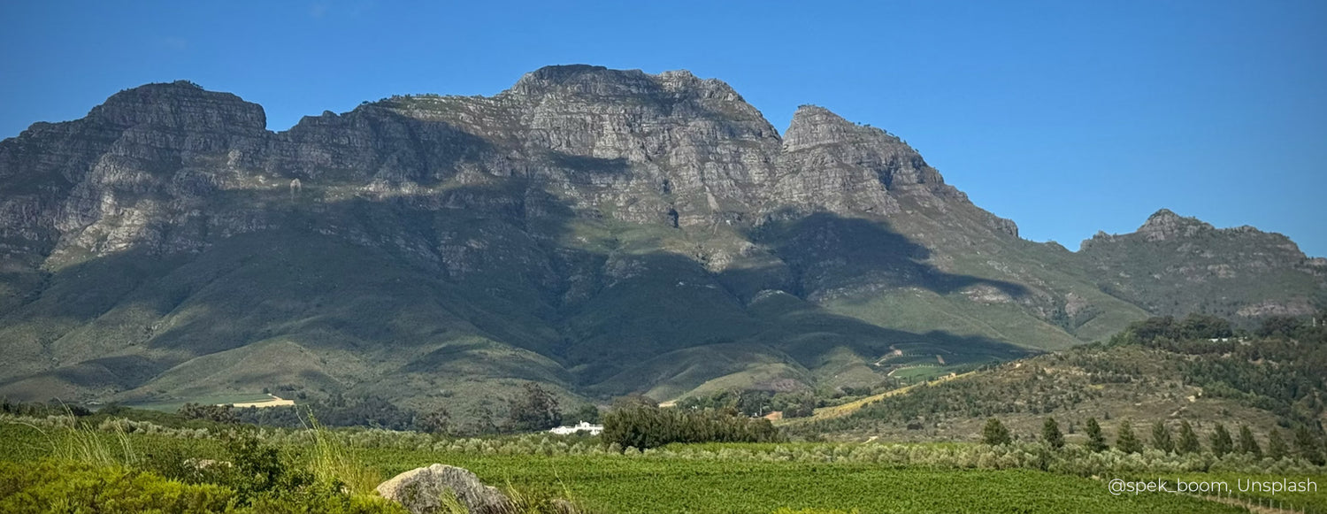 Wines from Stellenbosch