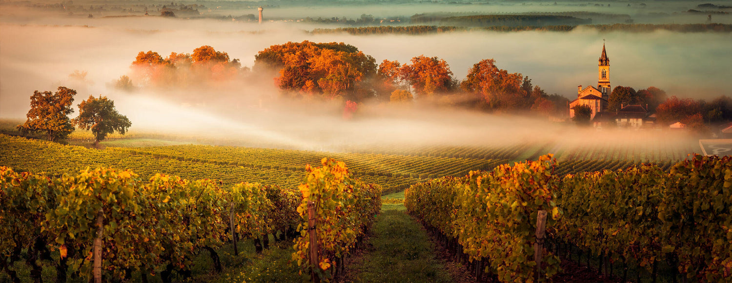 BORDEAUX EN PRIMEUR