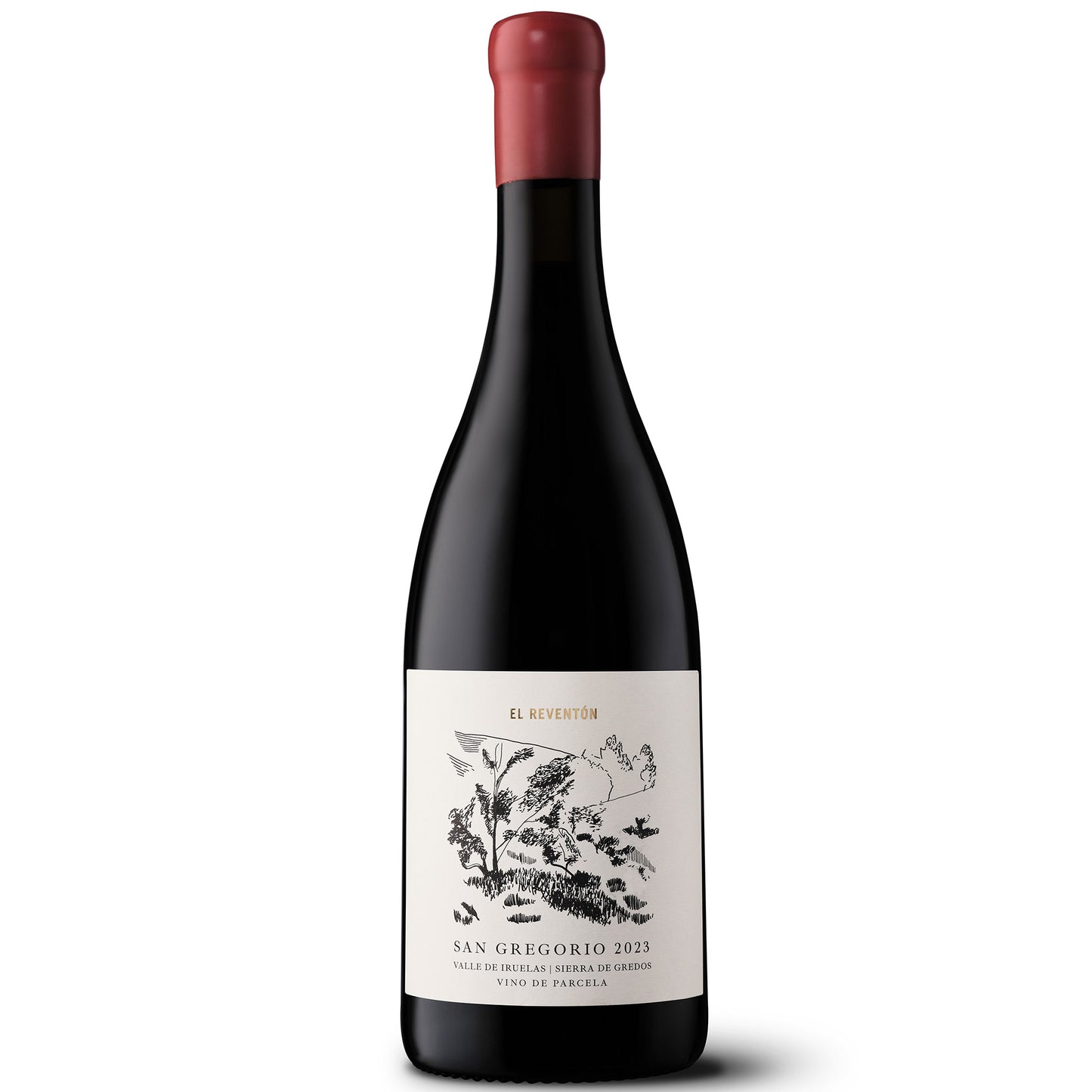 Bodega El Reventón, San Gregorio, 2023 - Magnum