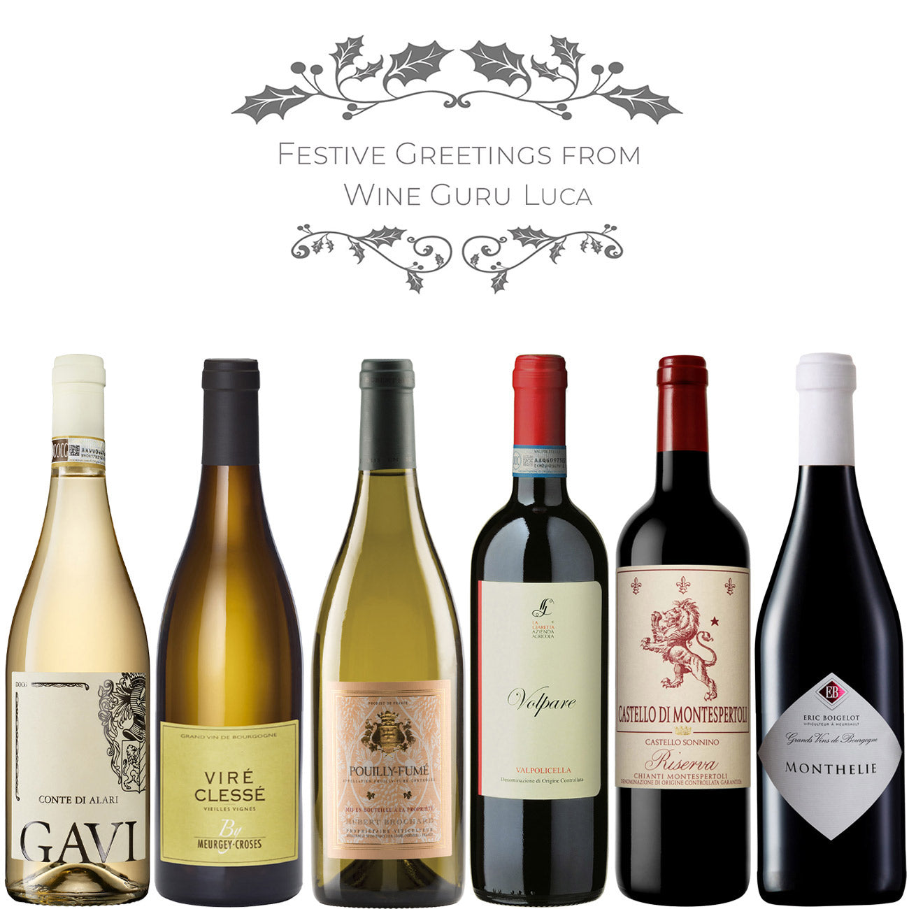 Wine Guru Luca's Christmas Case