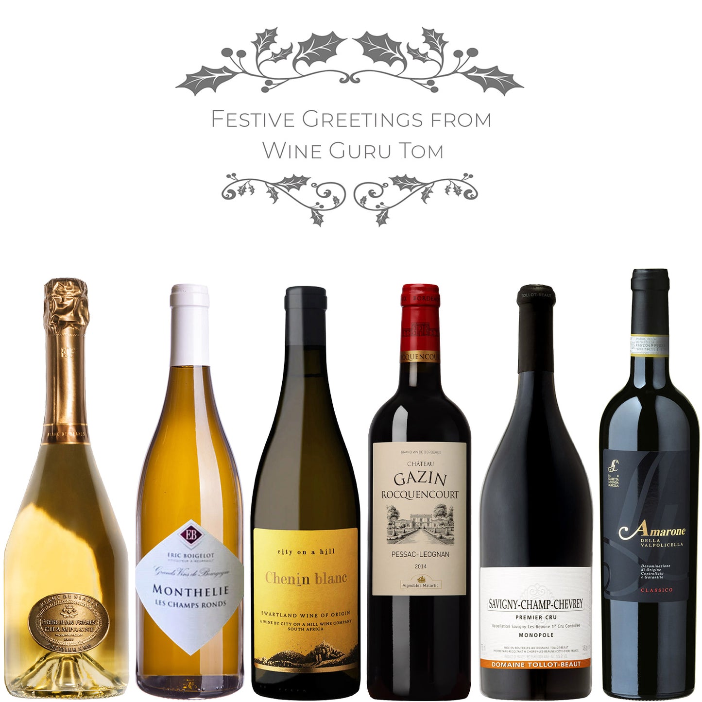 Wine Guru Tom's Christmas Case