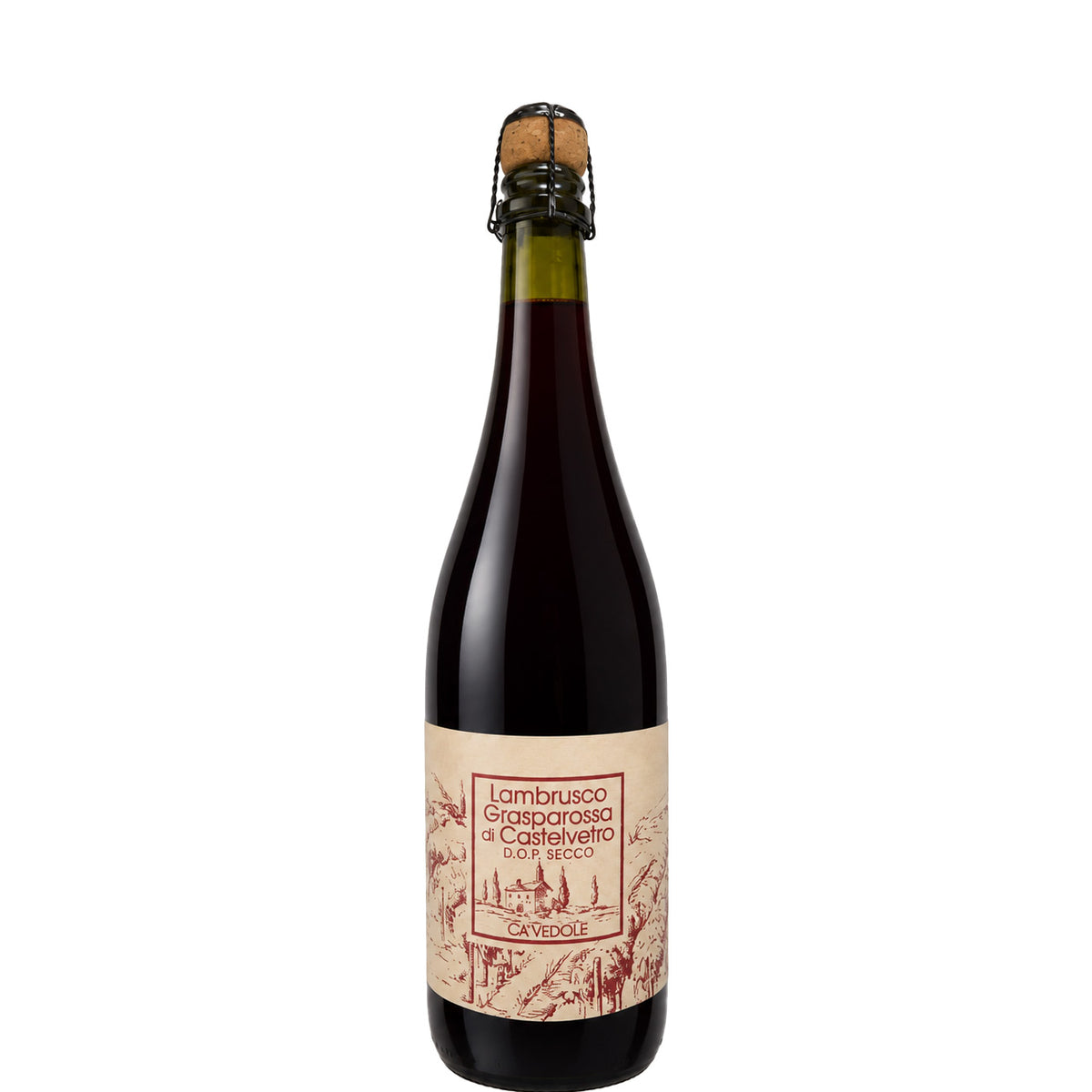 Zanasi Winery, Lambrusco Grasparossa Di Castelvetro D.O.P Secco, NV