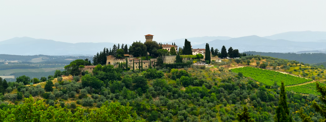 Brunello 2021 Vintage Report: A Modern Classic in the Making