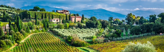 Beautiful estate in Tuscany