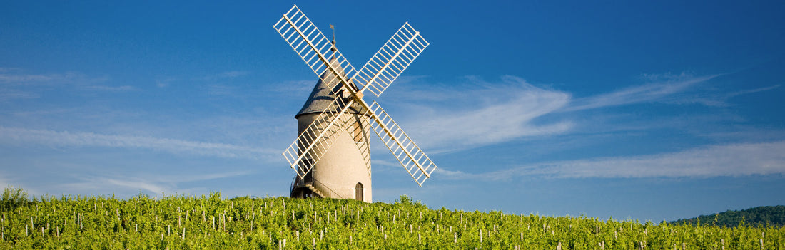 Windmill in Burgundy vineyard