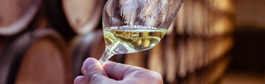Image of a glass of light white wine in a cellar