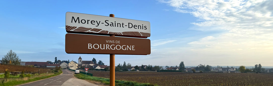 Burgundy 2023 Vintage Report: A Bumper Crop