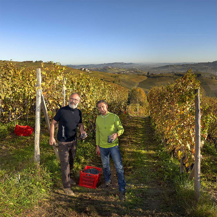 Enzo Boglietti Barolo