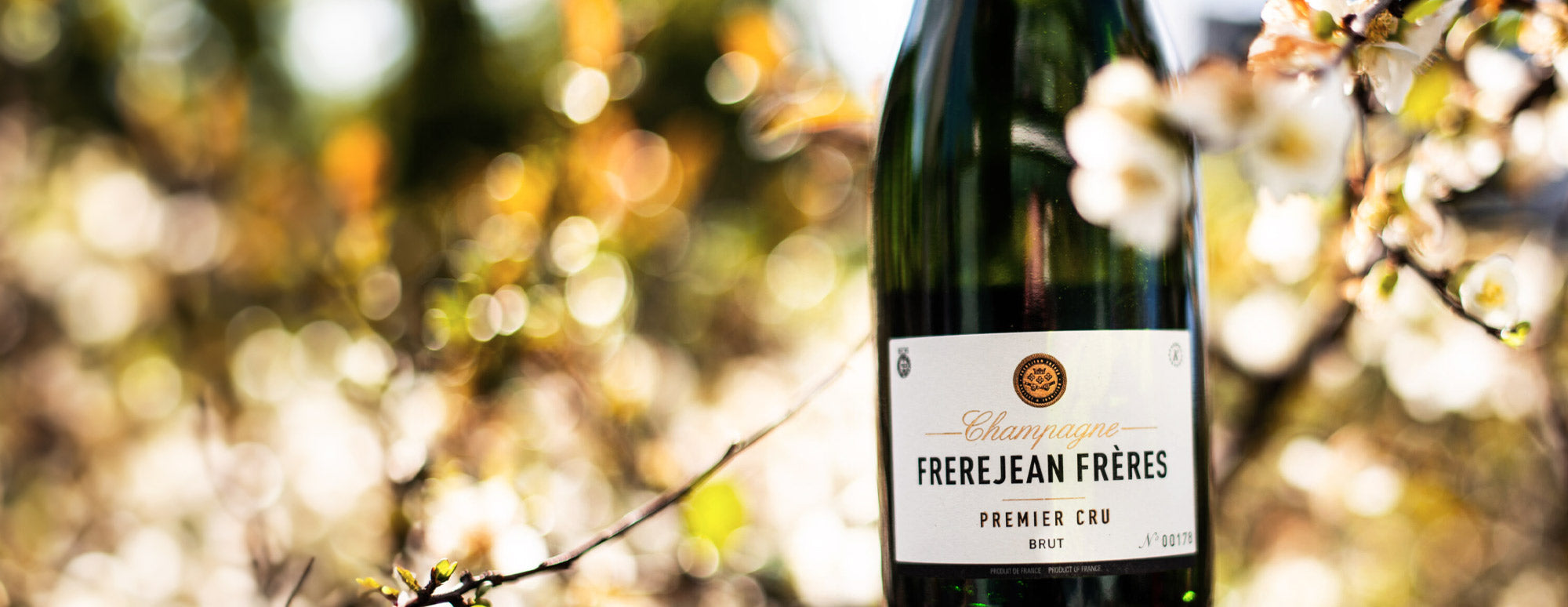 Wines for Spring – Honest Grapes