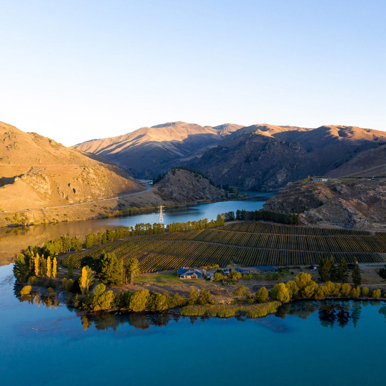 Felton Road: The DRC of New Zealand