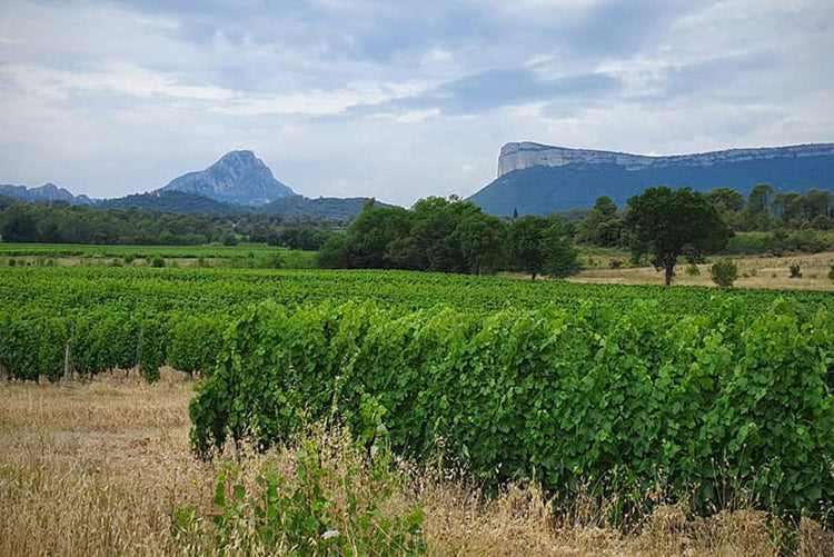 Domaine Jean-Marc Boillot