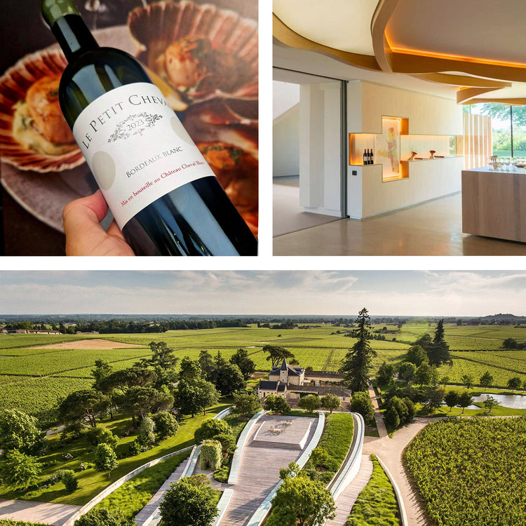 Le Petit Cheval Blanc 2023 Syndicate