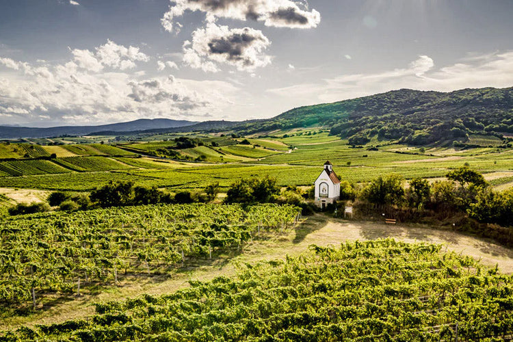 Weingut Stadlmann
