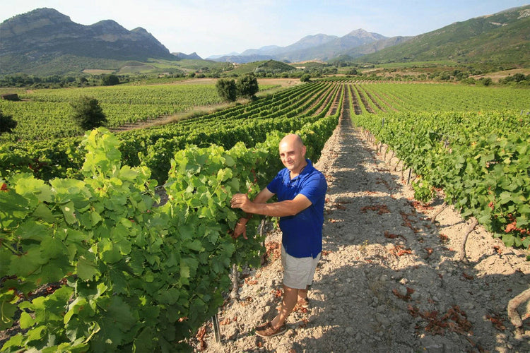 Domaine Yves Leccia