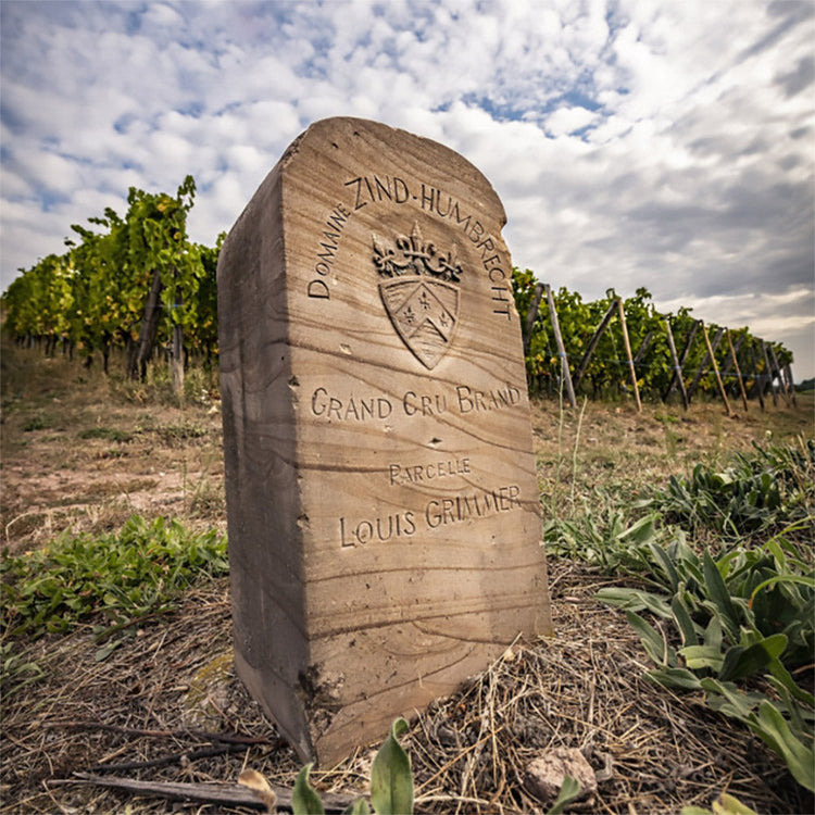 Zind-Humbrecht 2024 Releases