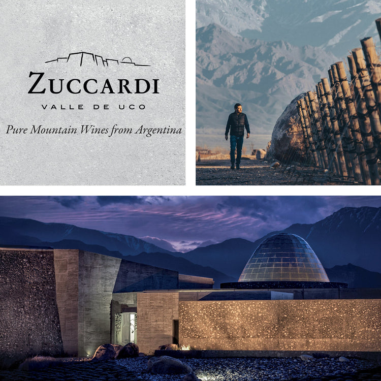 Zuccardi - 100-point High-altitude Malbec