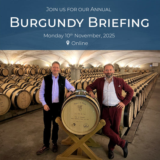 Burgundy Briefing 2024