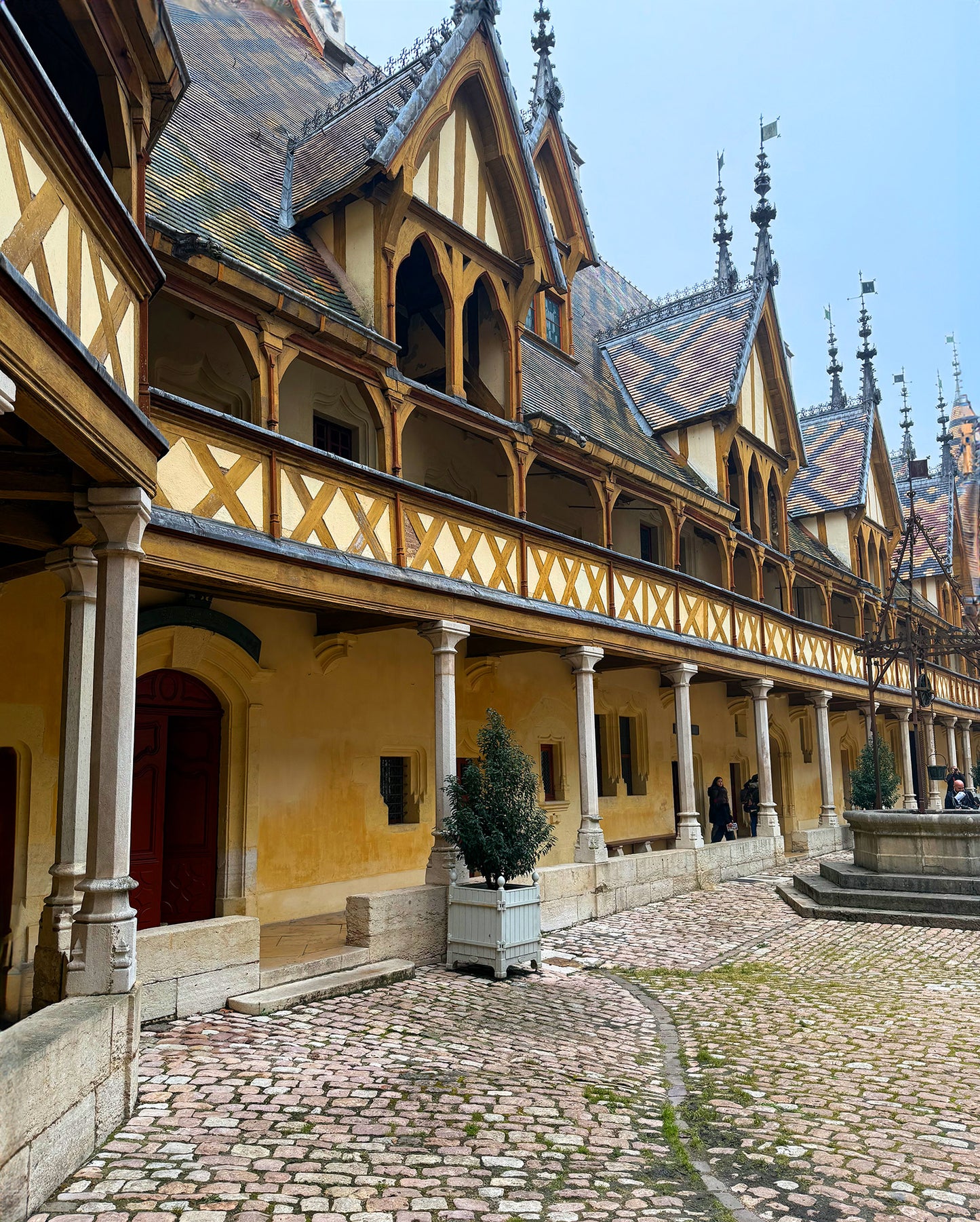The Burgundy Syndicate Trip