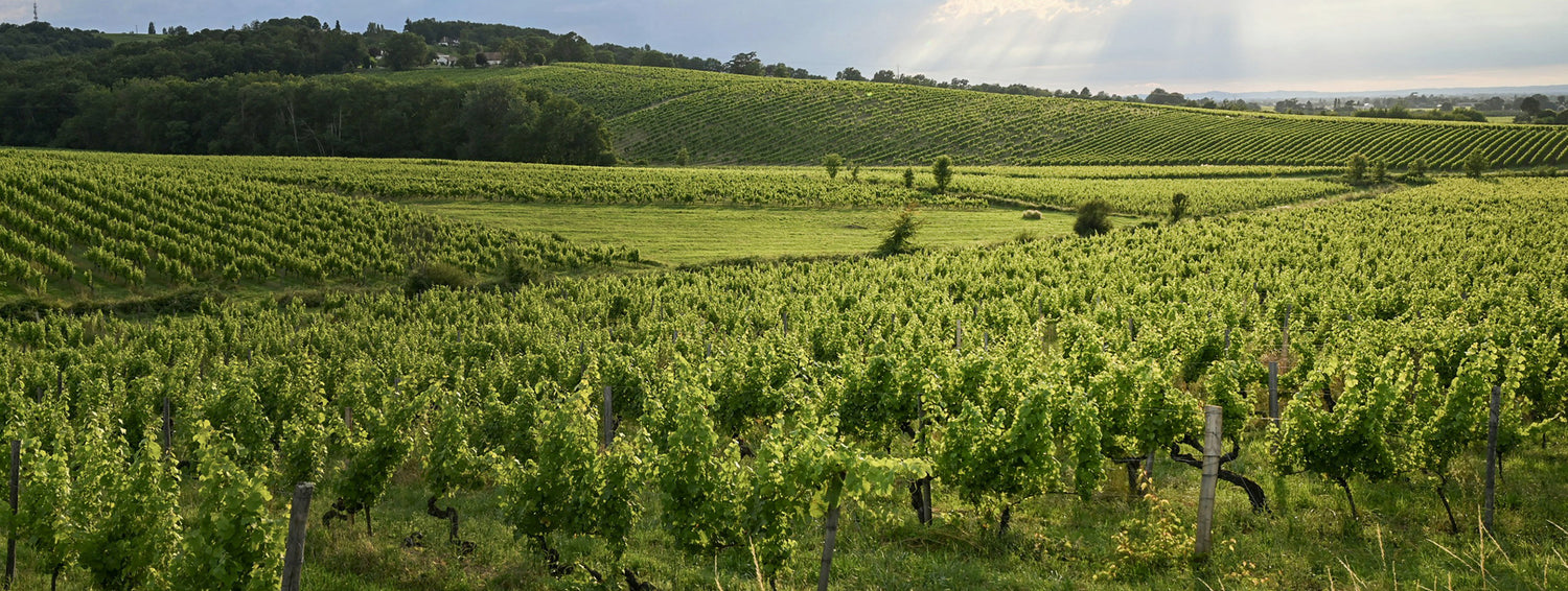 BORDEAUX 2025 EN PRIMEUR