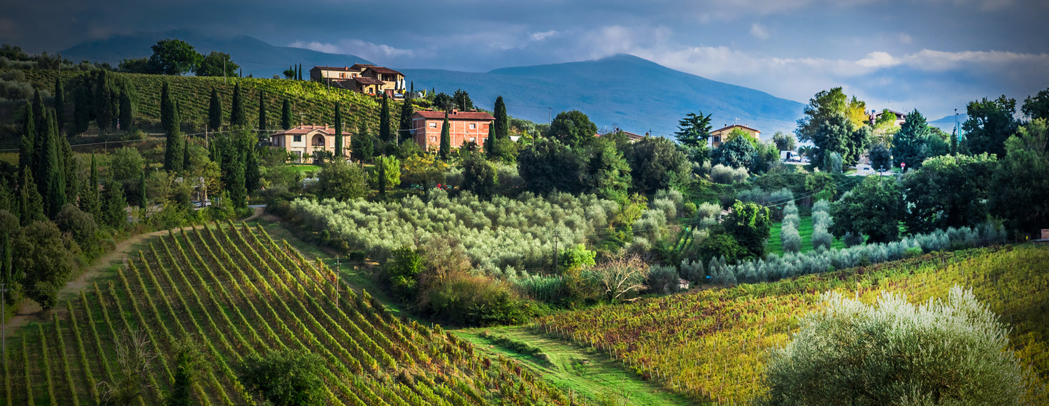 BRUNELLO EN PRIMEUR