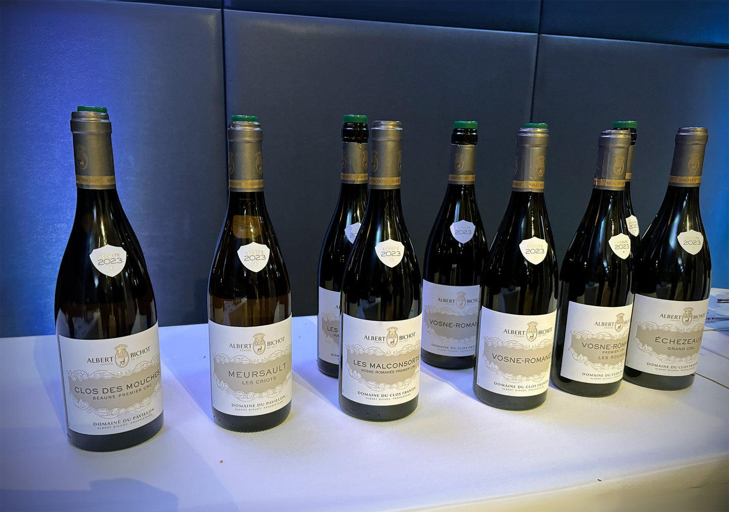 Burgundy 2023 En Primeur Walk Around Tasting