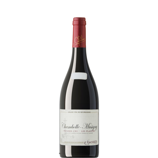 Chambolle-Musigny Premier Cru, Les Plantes, Domaine Jacques Cacheux, 2021