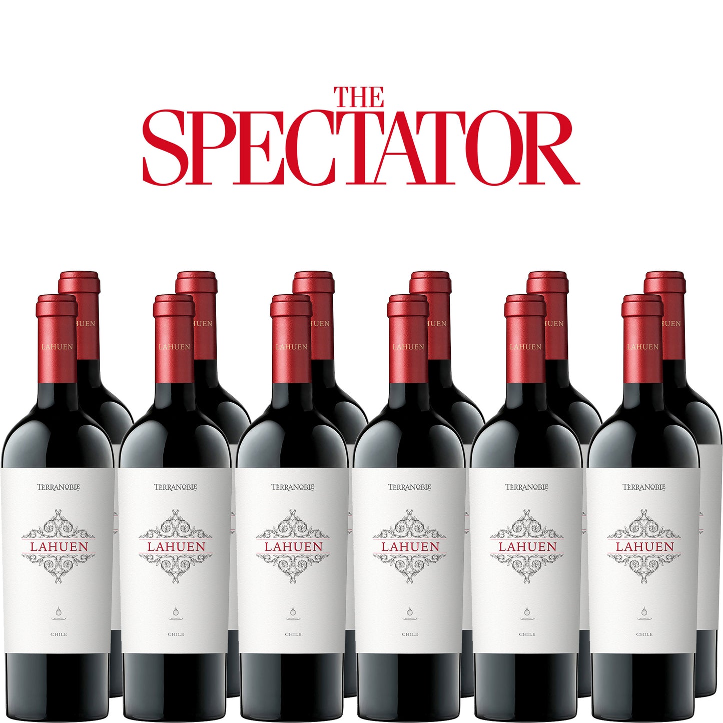 Spectator Wine Club - 12x TerraNoble Lahuen Cabernet Sauvignon Blend