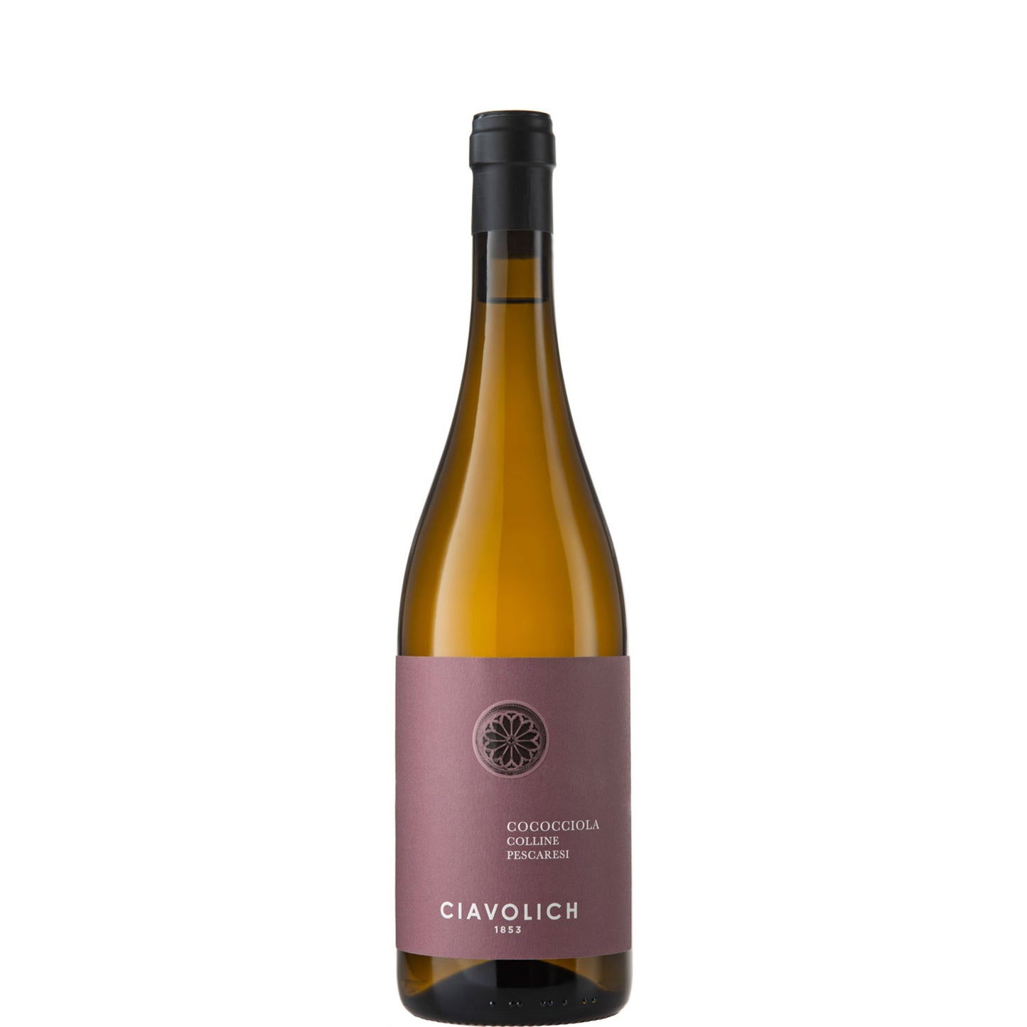 Ciavolich, Cococciola, Colline Pescaresi, 2024