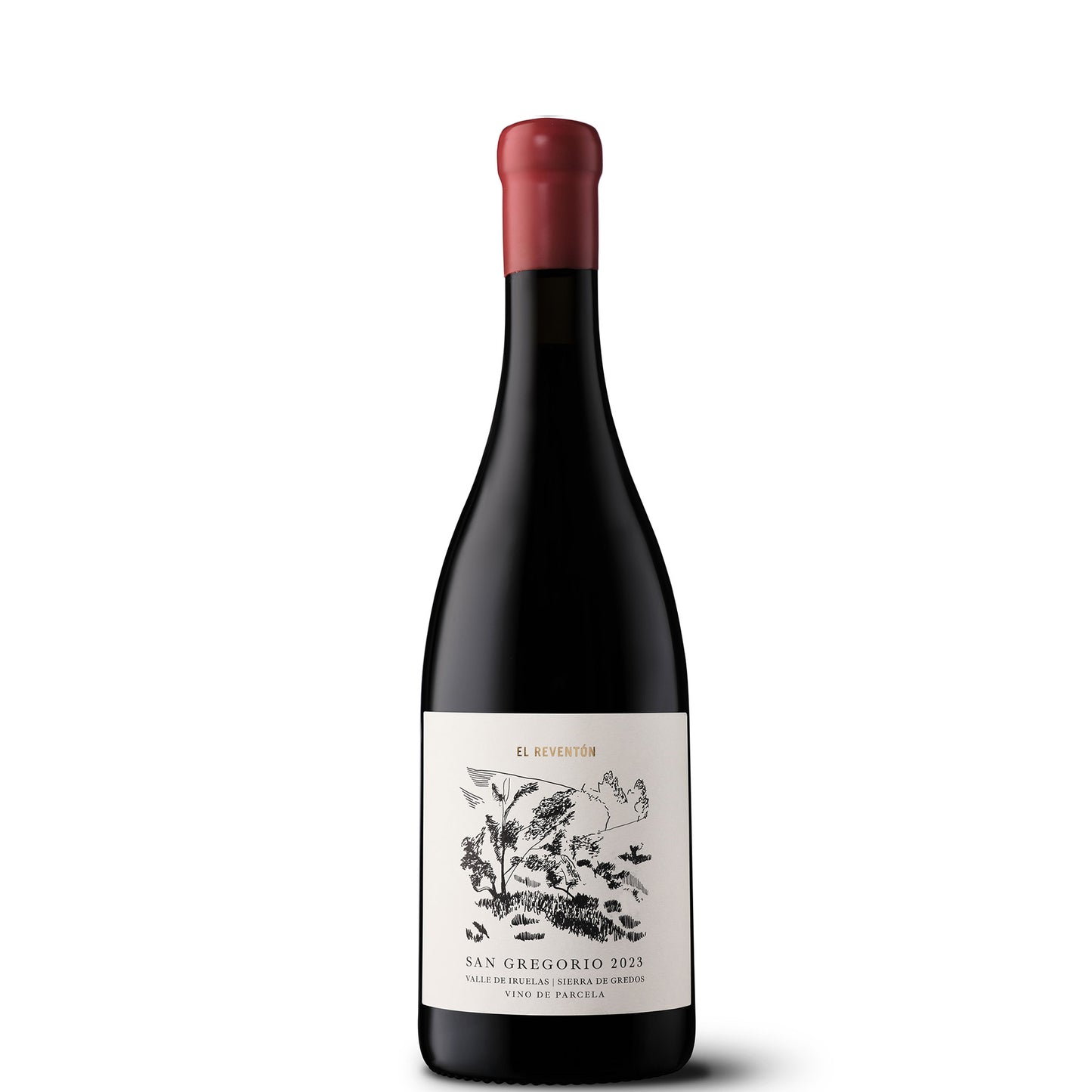 Bodega El Reventón, San Gregorio, 2023