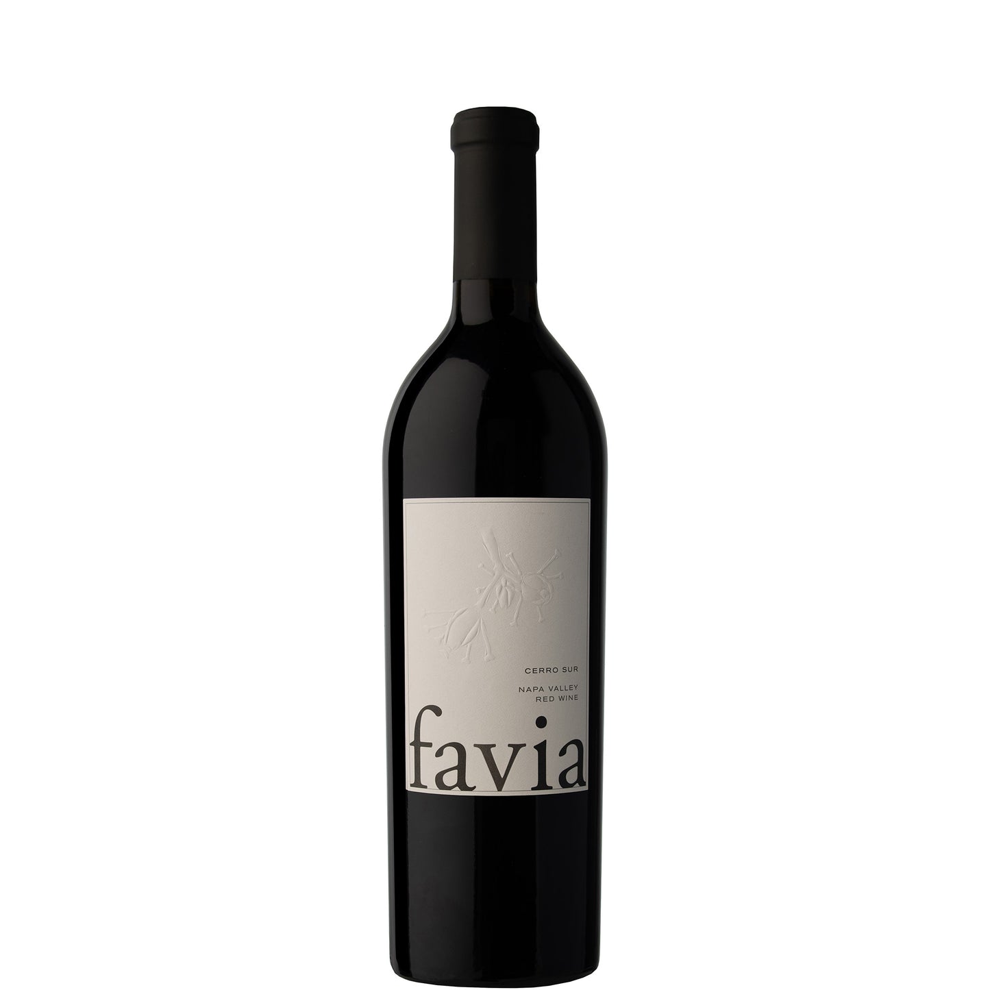 Favia, Cerro Sur, 2021