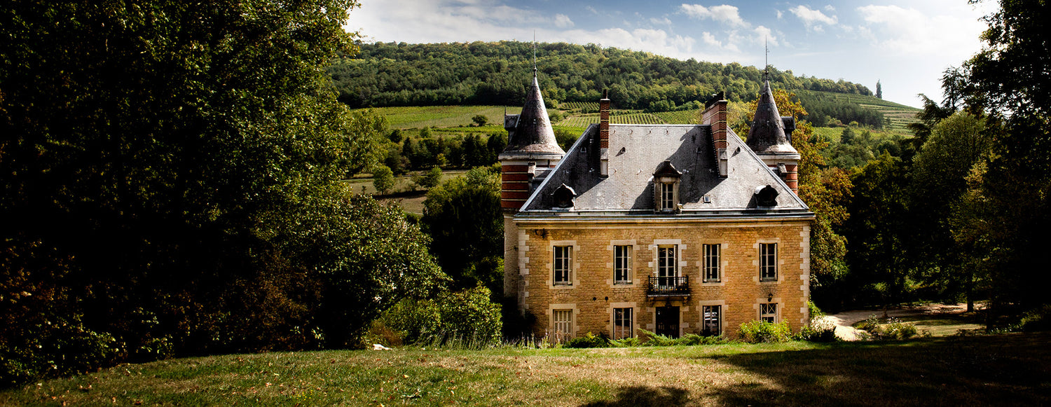 FINE WINE SPRING SALE: TOP BURGUNDIES