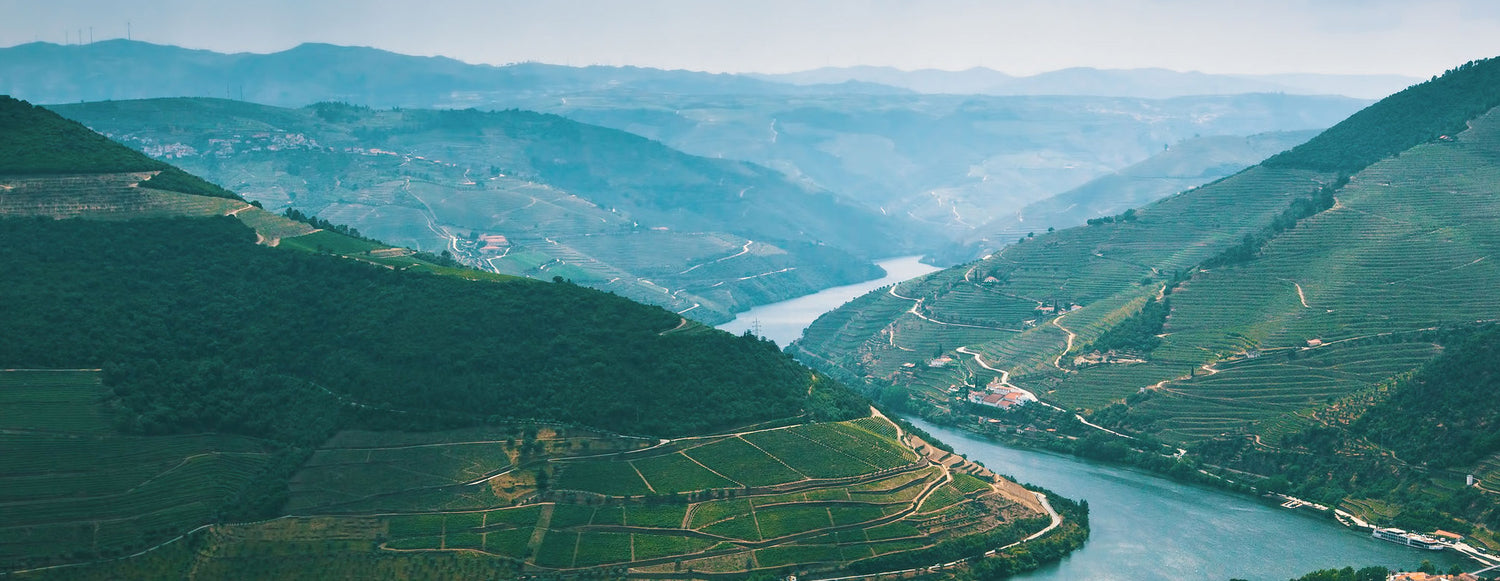 FINE WINE SPRING SALE: FROM AROUND THE WORLD