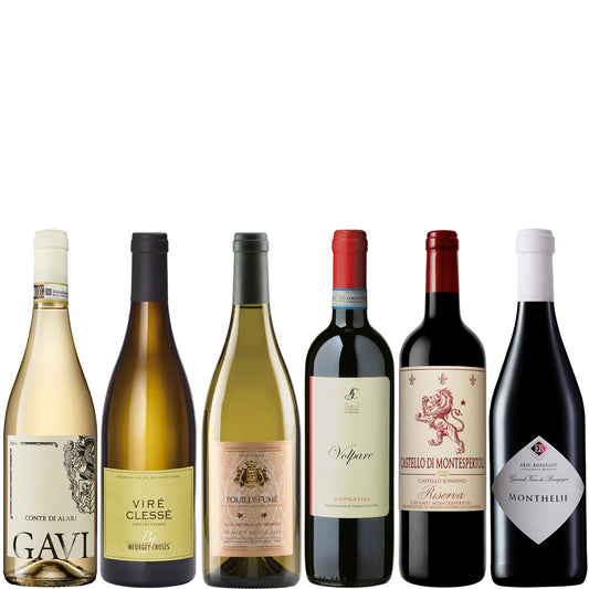 Wine Guru Luca's Case