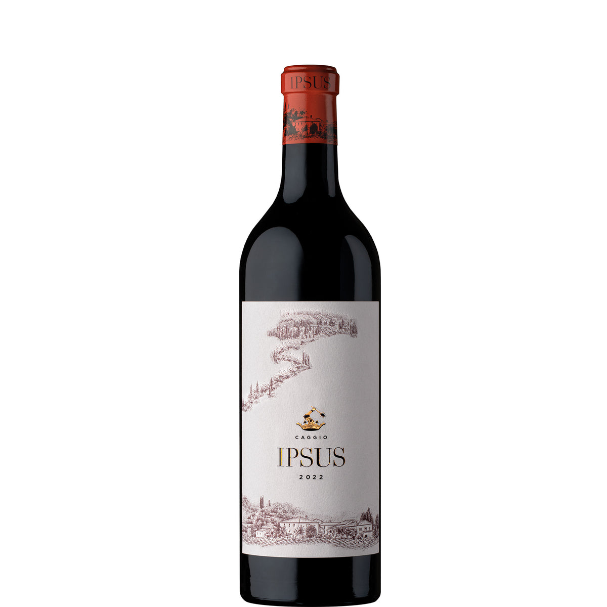 Mazzei, Il Caggio Ipsus, 2022