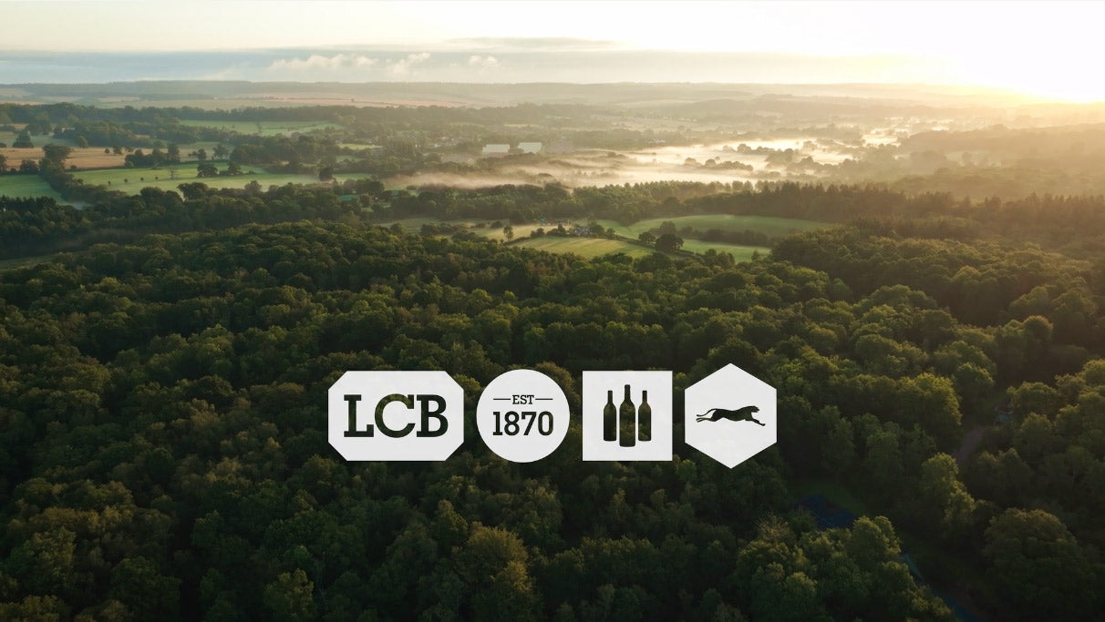 Load video: LCB bonded storage