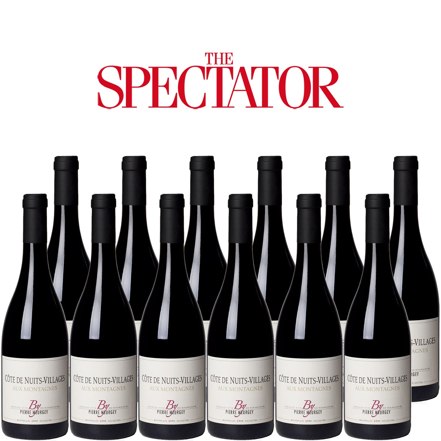 Spectator Wine Club: 12x Côtes De Nuits-Villages, Aux Montagnes, Pierre Meurgey, 2019