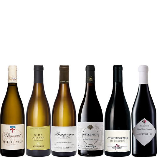 Rising Stars & Unsung Heroes of Burgundy