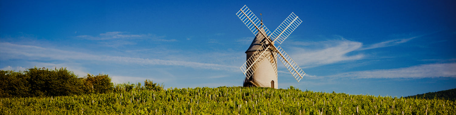 SPECTATOR WINE CLUB: BEAUJOLAIS & BURGUNDIAN DELIGHTS