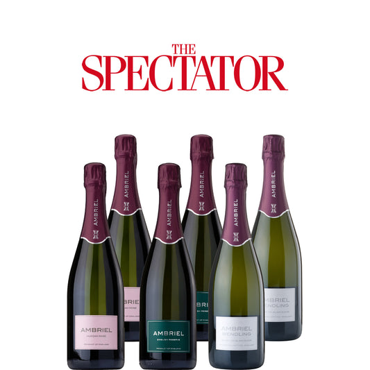 Spectator Wine Club: Battle of the Bubbles English Case