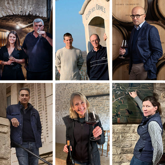 Burgundy 2024: Christy Canterbury MW Top Picks Case